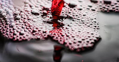 ノンアルコールワイン1