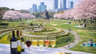 名古屋お花見ワイン会